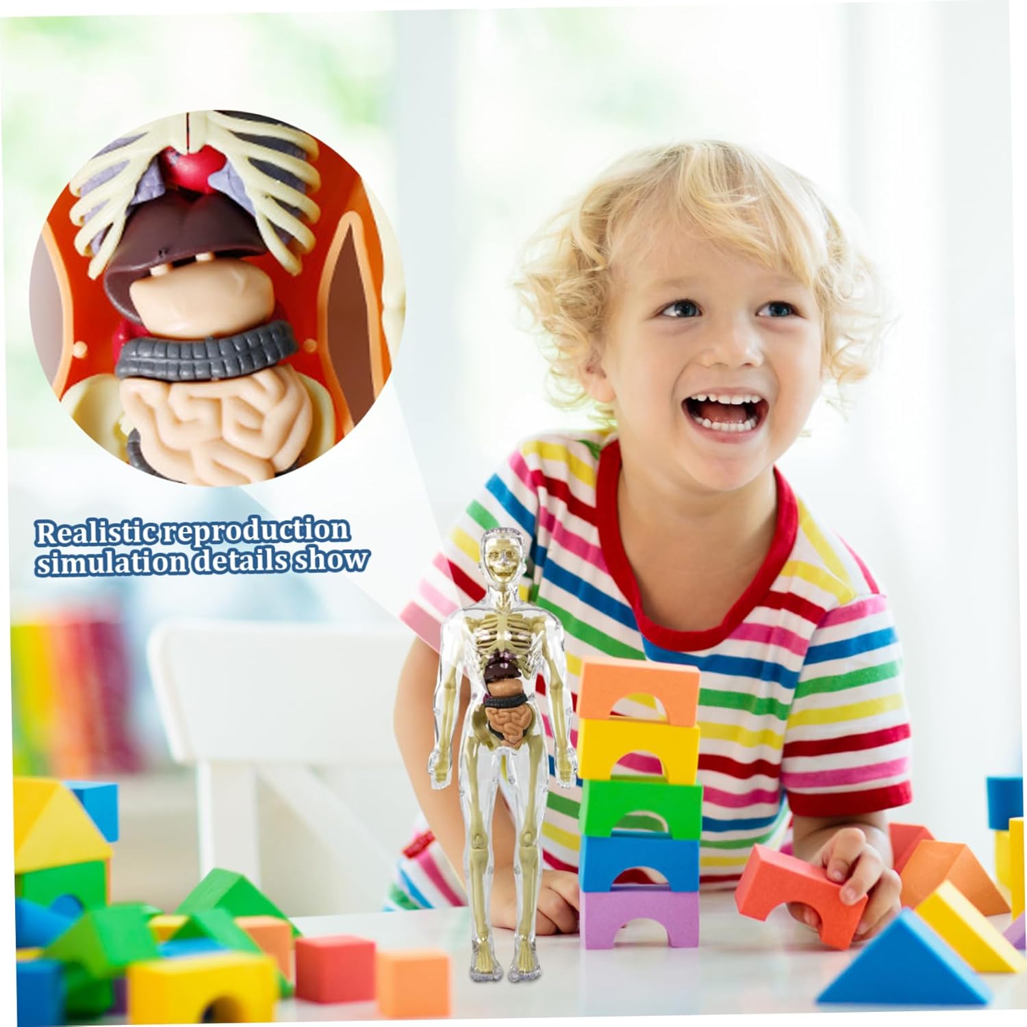Coffret Anatomie Ăducatif pour Enfants