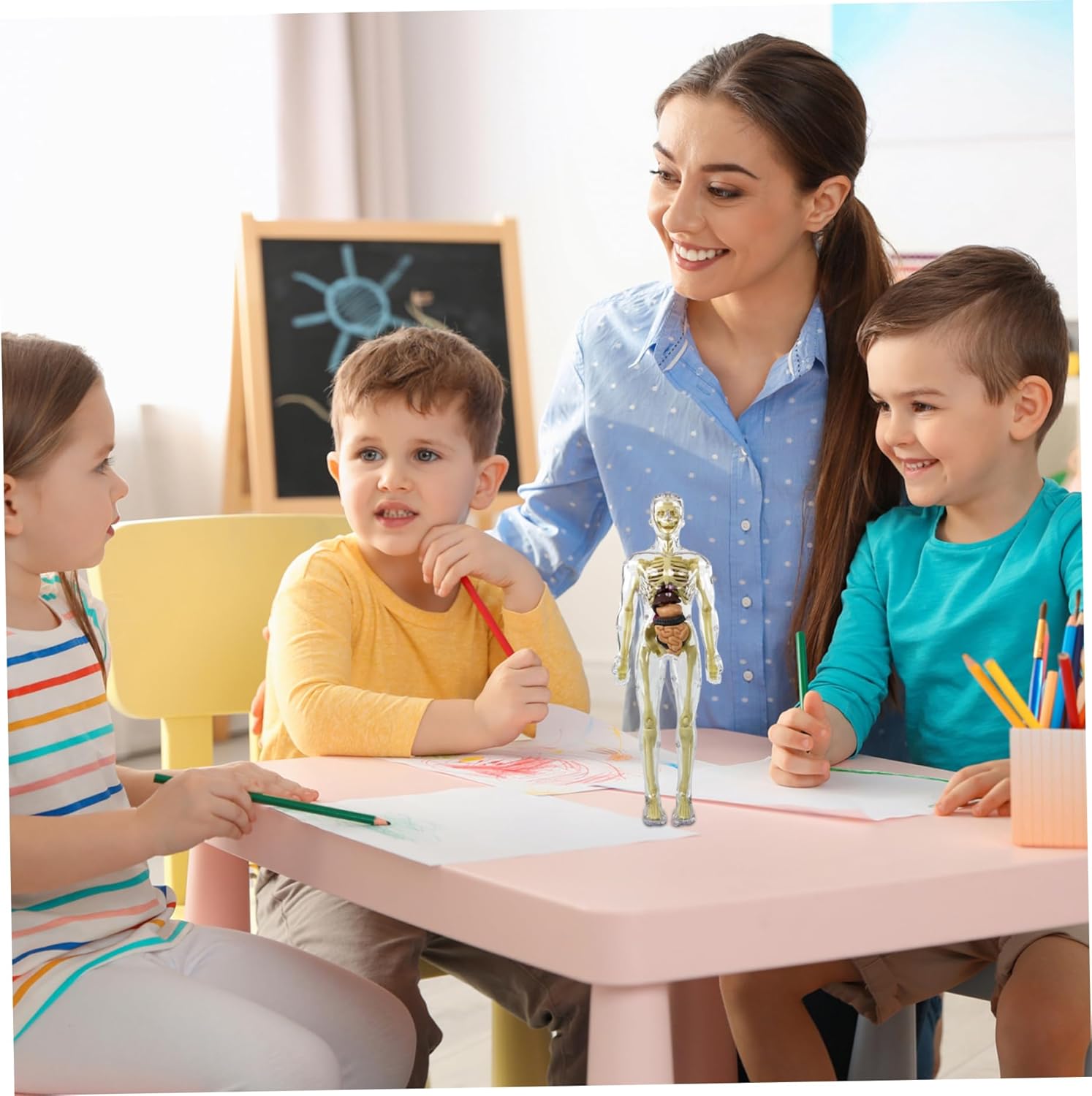 Coffret Anatomie Ăducatif pour Enfants