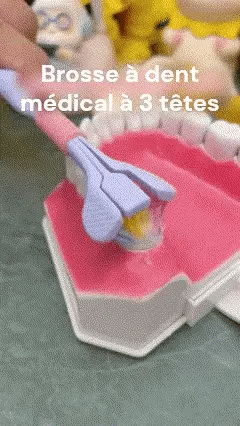 LOT de 4 Brosse à Dents à Trois Têtes