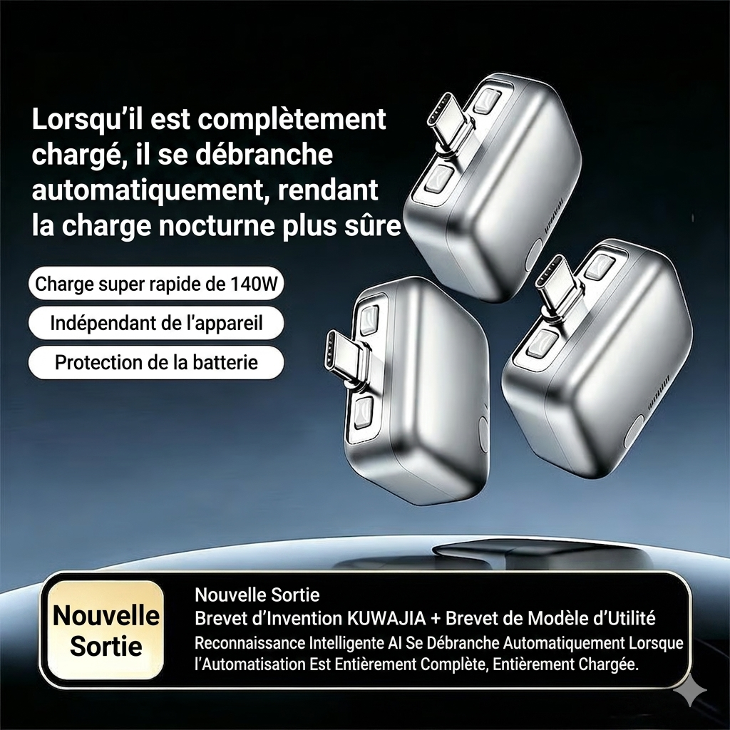 CHARGEUR INTÉLLIGENT IA