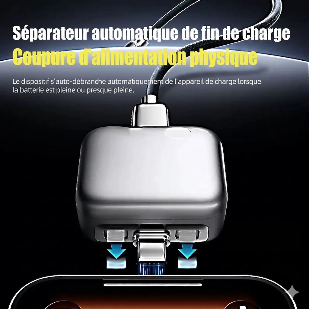 CHARGEUR INTÉLLIGENT IA